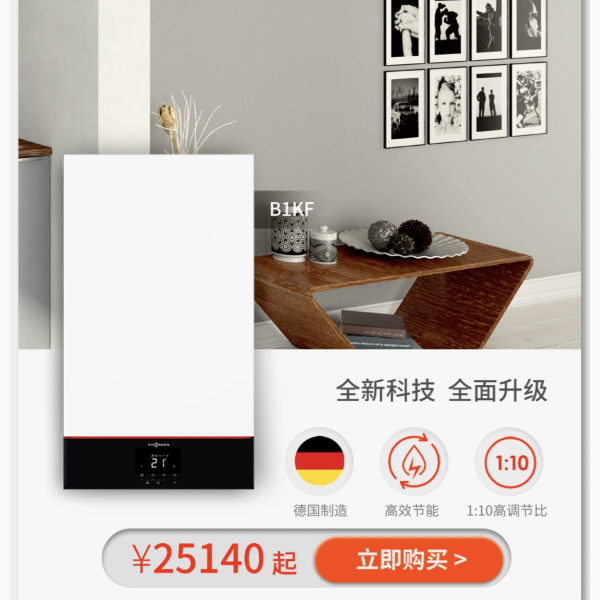 Tmall-Store-Viessmann-1.png